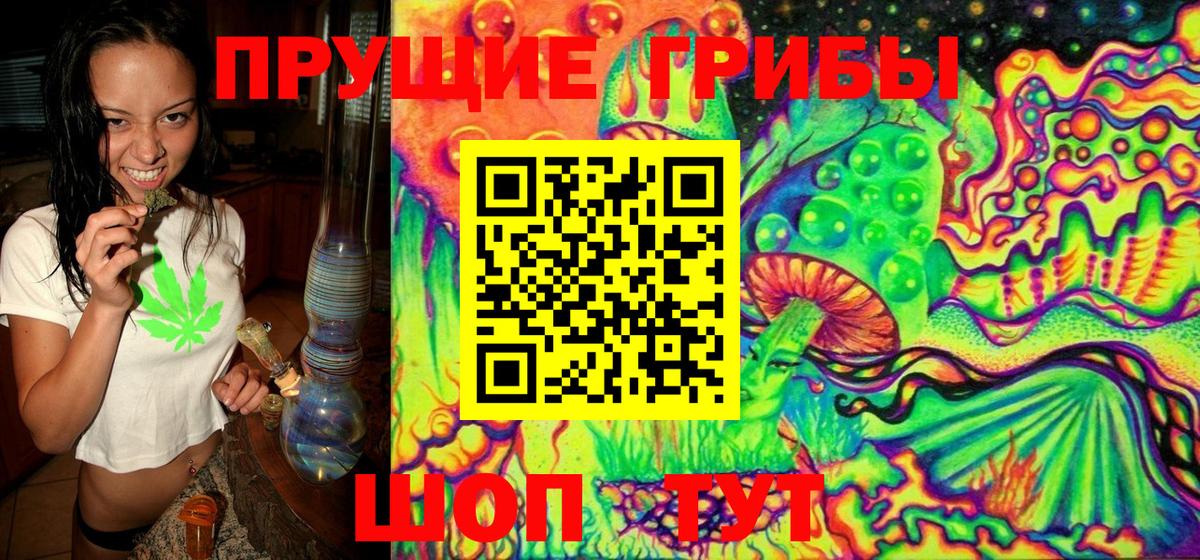 Псилоцибиновые грибы GOLDEN TEACHER Каспийск